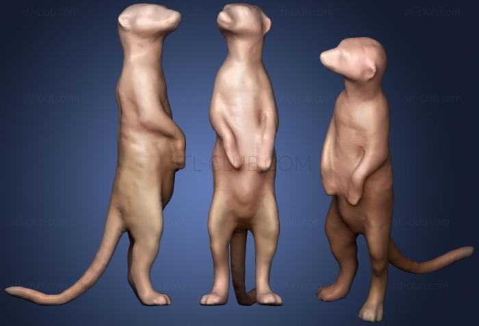 3D model meerkat (STL)